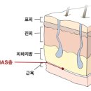 기브미의원 티스토리