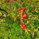 석현초등학교후문 이미지