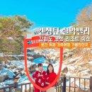 응골목장 | 강원도 고성 리조트 숙소 켄싱턴리조트 설악밸리 로잔 독채 가족여행