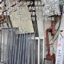 경기도 부천시 오정구 중동로425번길 10 오래된 빌라 기존알루미늄방충망을 촘촘이 스텐레스 방충망으로 교체 작업 시공 모헤어 작업 6 이미지