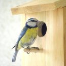 서울보청기.의료기 이미지