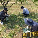 명휘원 | 명휘원 장애인복지관 봉사활동 후기!