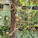 국가공인 행정사사무소 이미지