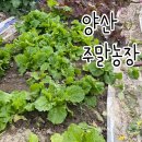 증산농장 이미지