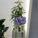 용치과기공소 이미지