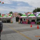 부여 서동공원 연꽃 축제, 부소산 그리고 익산 미륵사지 이미지