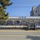 선희네손칼국수 이미지