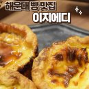 이지에디 이미지