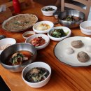 옥천농협주유소