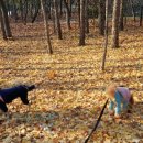 어여가세 이미지