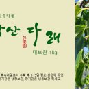 운악산과일