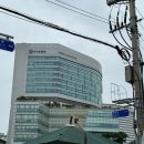 메디컬가든 | 캐세이 퍼시픽 2024년 8월 승무원 메디컬 체크 후기 (재검 최대한 피하는 방법)