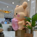 롯데상인쌤소나이트