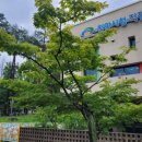 천안시청직장어린이집 이미지