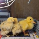 원주자연 이미지