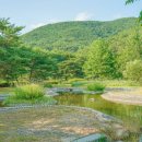 도래재로 이미지