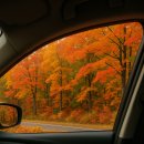 치유의 시와 음악인문학 | 🎓2025추계 학술대회 후기- 중부대학교 일반대학원 자연치유학과 / 자연치유심리학과