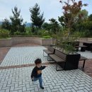 두꺼비로(3-266) | [속초여행] 2025.9.21.~23. 3대가 함께 떠나는 강원도 속초 여행(새로 뽑은 카니발과 함께)