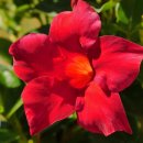 동행키즈풀빌라펜션 이미지