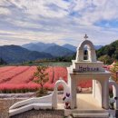 포천삼정초등학교 이미지