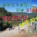 숲속청계농장 이미지