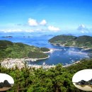 배춘 이미지