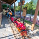 곡성아트빌리지 이미지