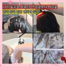 엄마의 집 효도급식소 | 산본두피 닥터모락 MGF 정화 재생케어 엄마 정수리 가려움 탈모관리 효도선물 후기