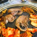 마장동고기집삼천포점 | [사천] 삼천포 고등학교 인근 "마장동 고기집 삼천포점" | 주류 2,000원 갓성비 💗 | 단체모임 강추...