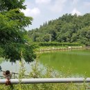 수암낚시터 이미지