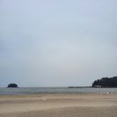 연포해수욕장(송림) 네이버블로그