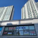 2025년 신년맞이, 사주 명리학 이미지