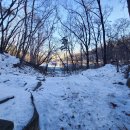 약진로변 이미지