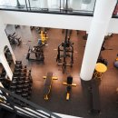 탐 휘트니스 이미지