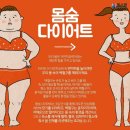 주식회사 힐스밤 | 힐스밤 몸숨프로그램 1:1 개별 관리 받은 후기