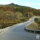 동화사(용수동) 이미지