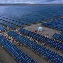 푸른태양광발전소 이미지