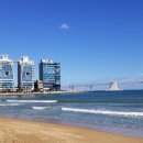 나도 팬플룻 연주자 이미지