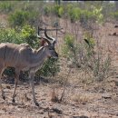 성실자동차 이미지