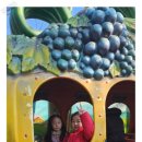 화명한국태권도 이미지