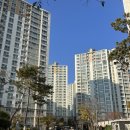 일월생 | [광주 남구 양림동 신점] 일월신궁, 첫 신점 후기🫢