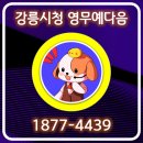 더강릉포레 이미지