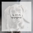 이치과의원 이미지