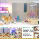 골드 캐터리 이미지