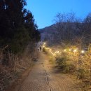 주흥9길 14-13 | [제주/축제] 2026 제주 들불축제 후기, 새별오름 들불 점화 현장 분위기부터 자우림 공연까지