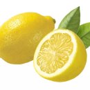 레몬팁 이미지