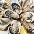 해운동055 이미지