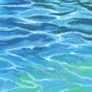 모임(Moim) 이미지