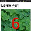 꽃돌이네 이미지