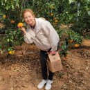 논향농장 이미지